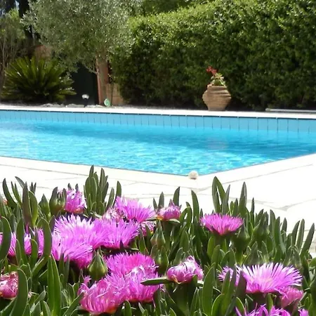 Oleander